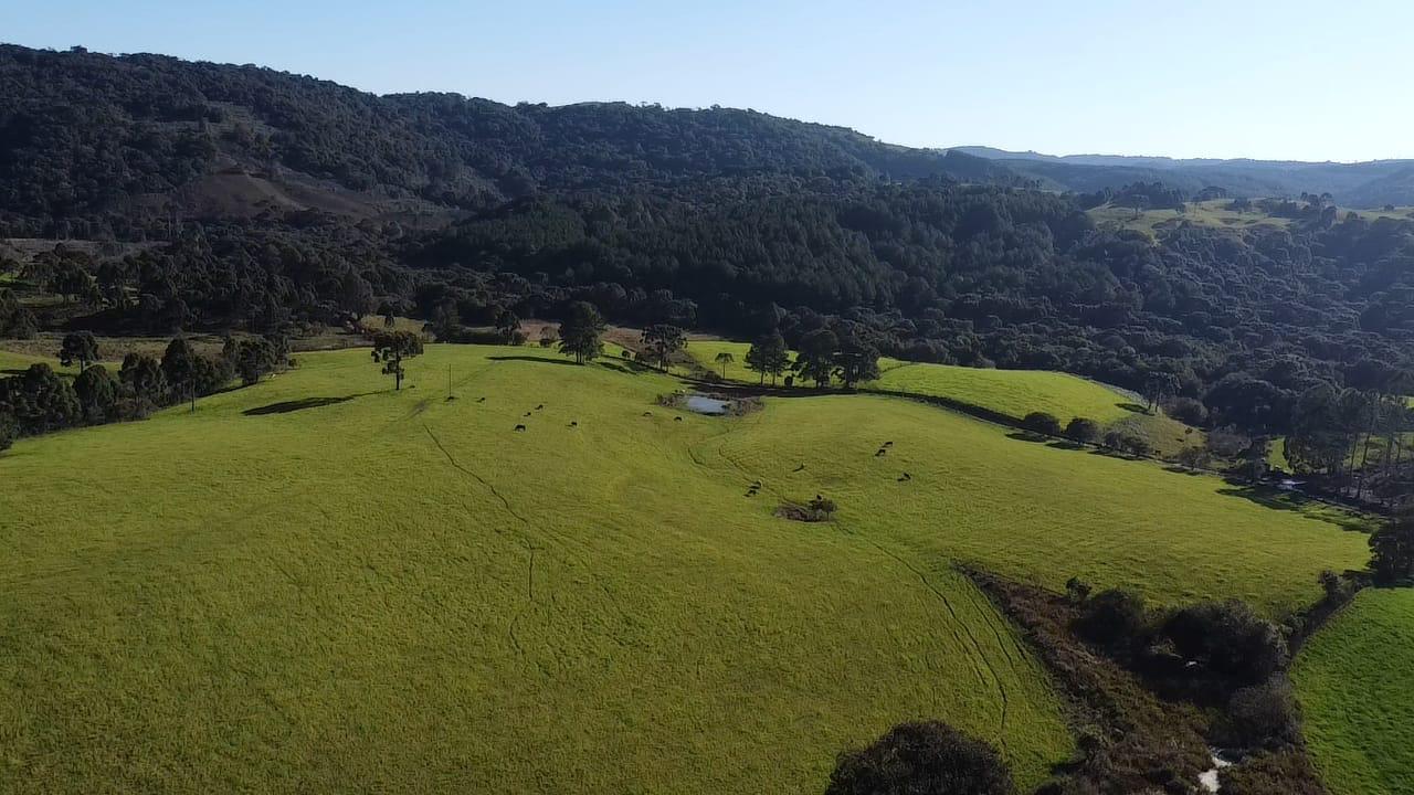 TERRENO PRODUTIVO EM PONTE ALTA |  54,9 HECTARES 