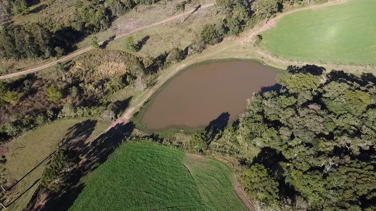 TERRENO PRODUTIVO EM PONTE ALTA |  54,9 HECTARES 