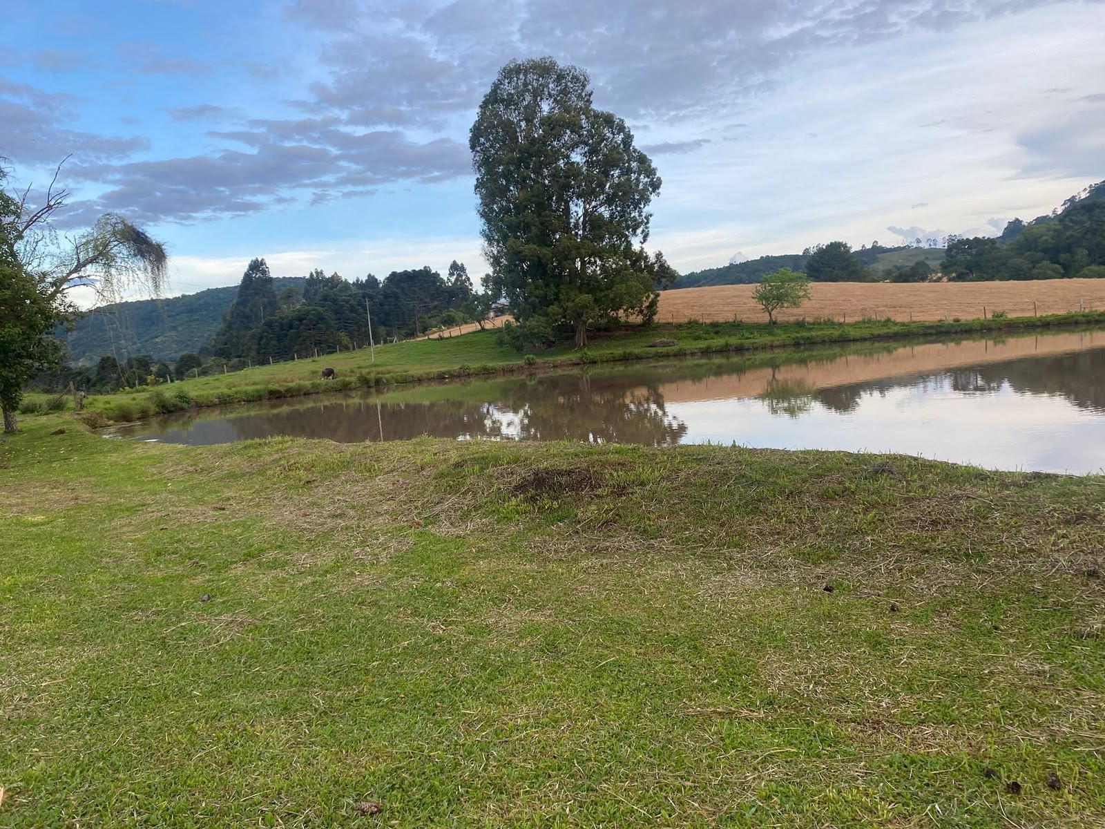 CHÁCARA EM PONTE ALTA | 5 HECTARES