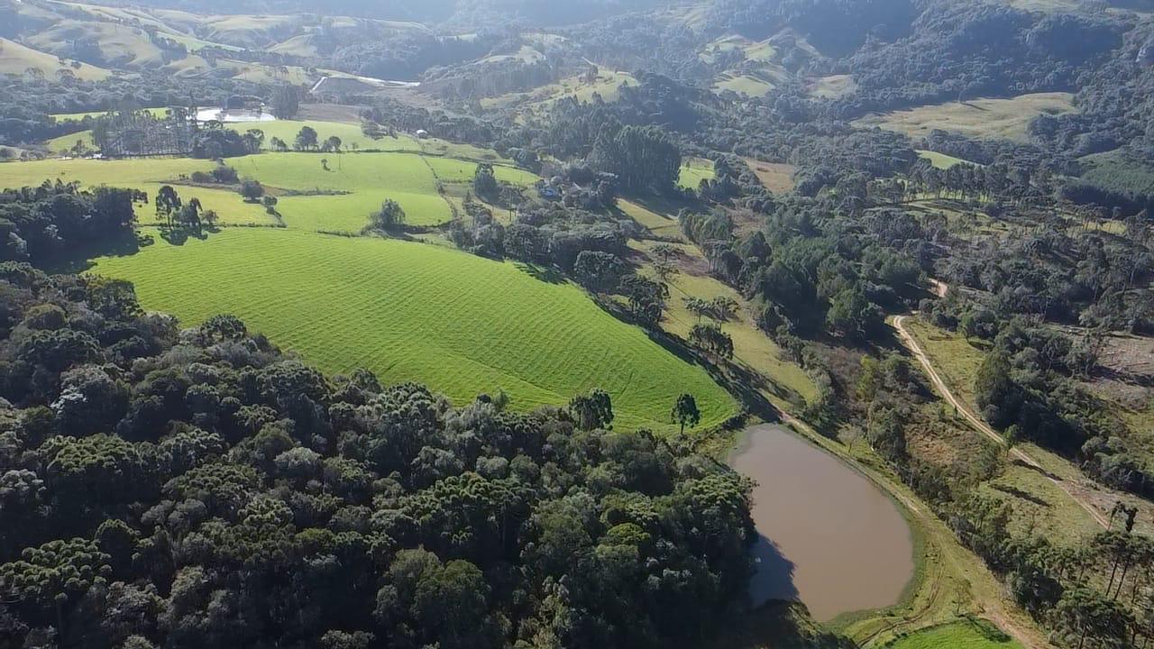 TERRENO PRODUTIVO EM PONTE ALTA |  54,9 HECTARES 