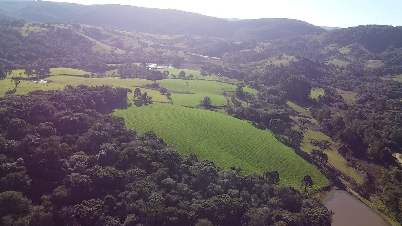 TERRENO PRODUTIVO EM PONTE ALTA |  54,9 HECTARES 