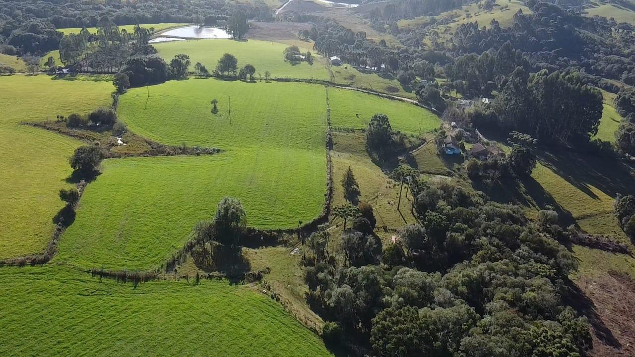 TERRENO PRODUTIVO EM PONTE ALTA |  54,9 HECTARES 