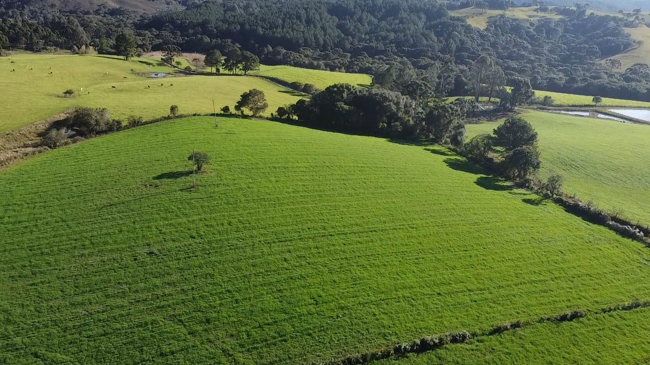 TERRENO PRODUTIVO EM PONTE ALTA |  54,9 HECTARES 