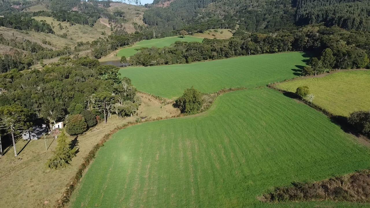 TERRENO PRODUTIVO EM PONTE ALTA |  54,9 HECTARES 