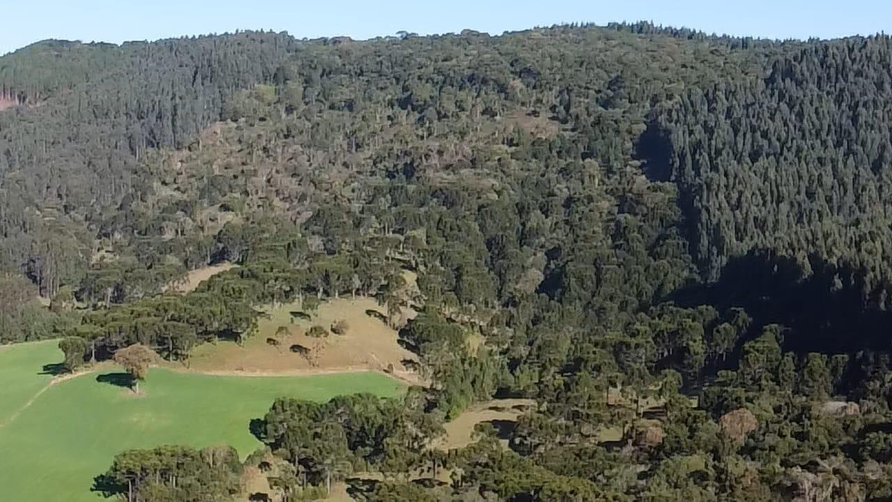 TERRENO PRODUTIVO EM PONTE ALTA |  54,9 HECTARES 