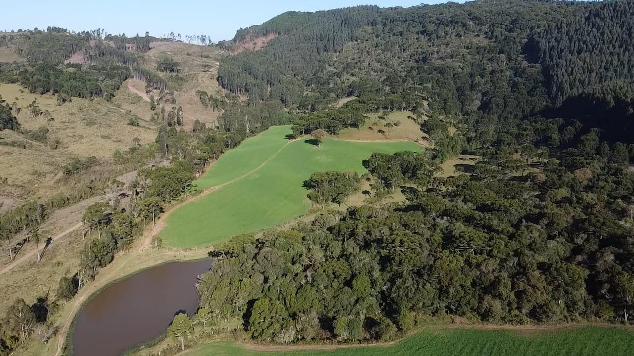TERRENO PRODUTIVO EM PONTE ALTA |  54,9 HECTARES 
