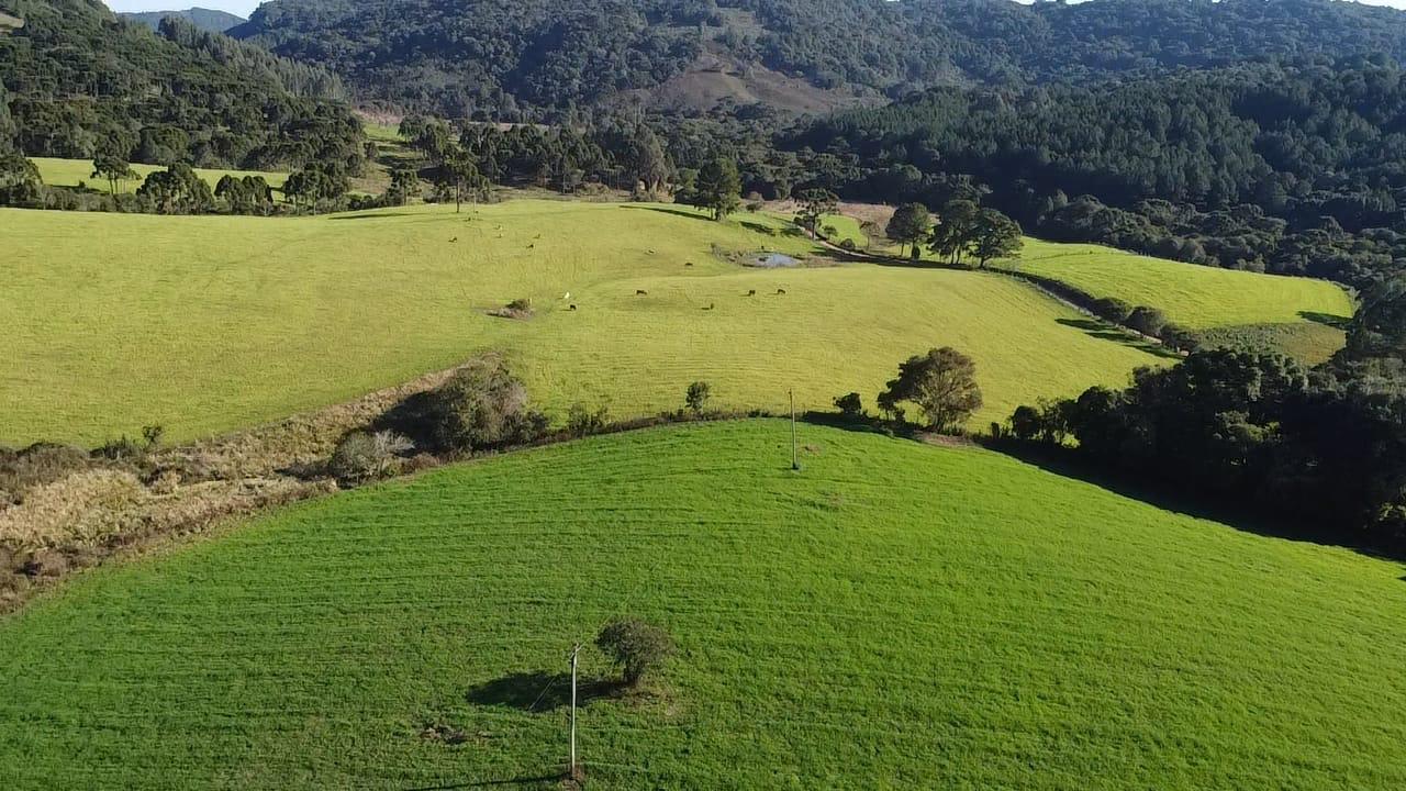 TERRENO PRODUTIVO EM PONTE ALTA |  54,9 HECTARES 