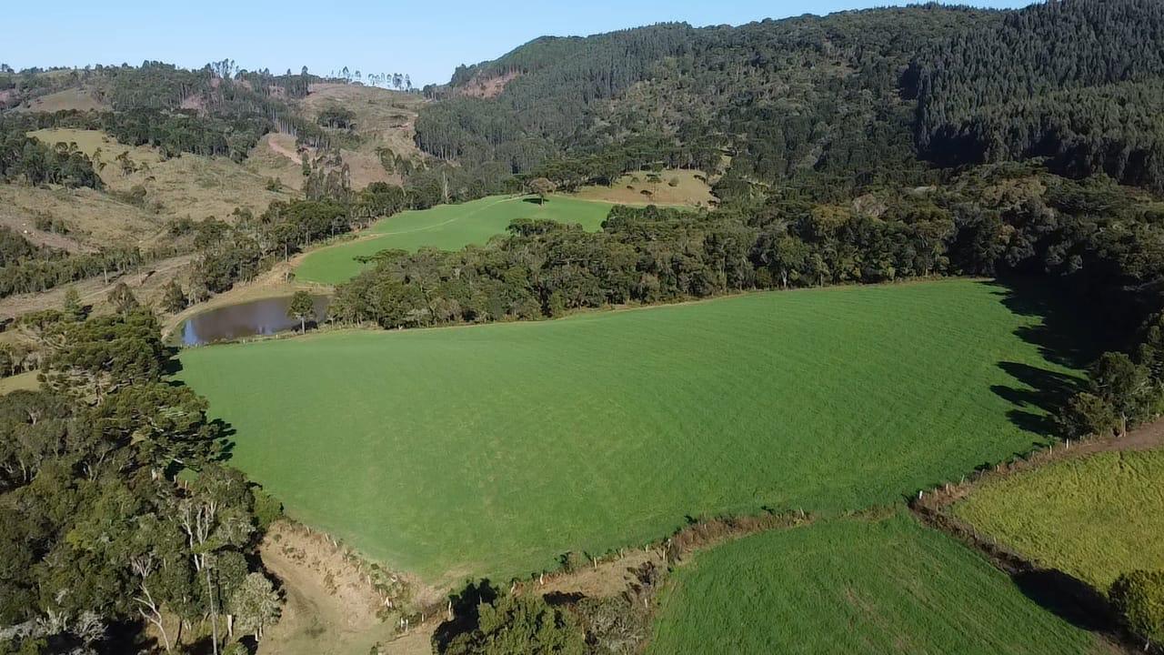 TERRENO PRODUTIVO EM PONTE ALTA |  54,9 HECTARES 