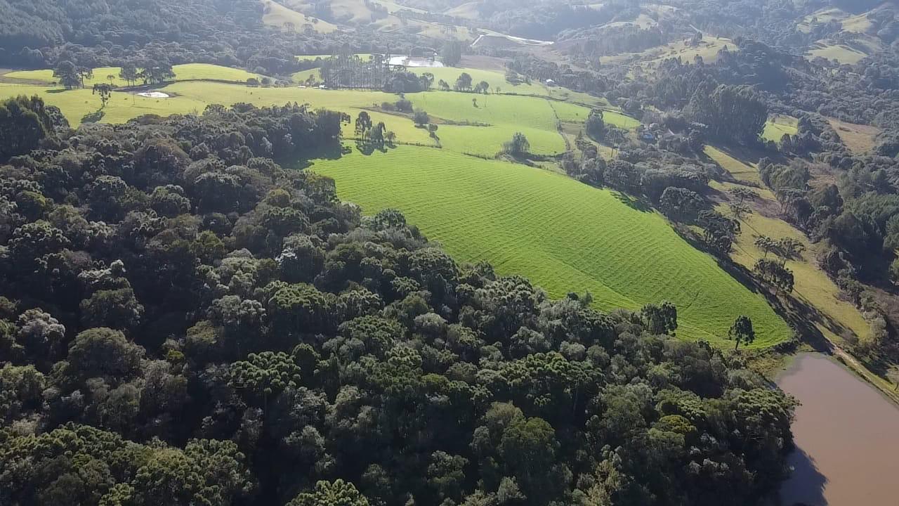 TERRENO PRODUTIVO EM PONTE ALTA |  54,9 HECTARES 