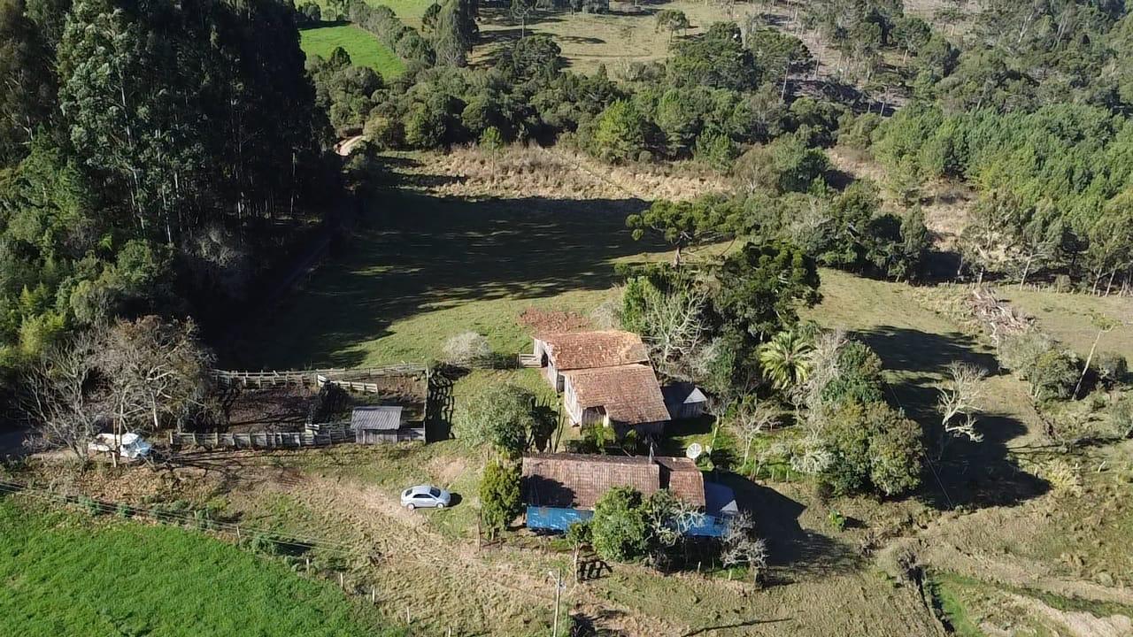 TERRENO PRODUTIVO EM PONTE ALTA |  54,9 HECTARES 