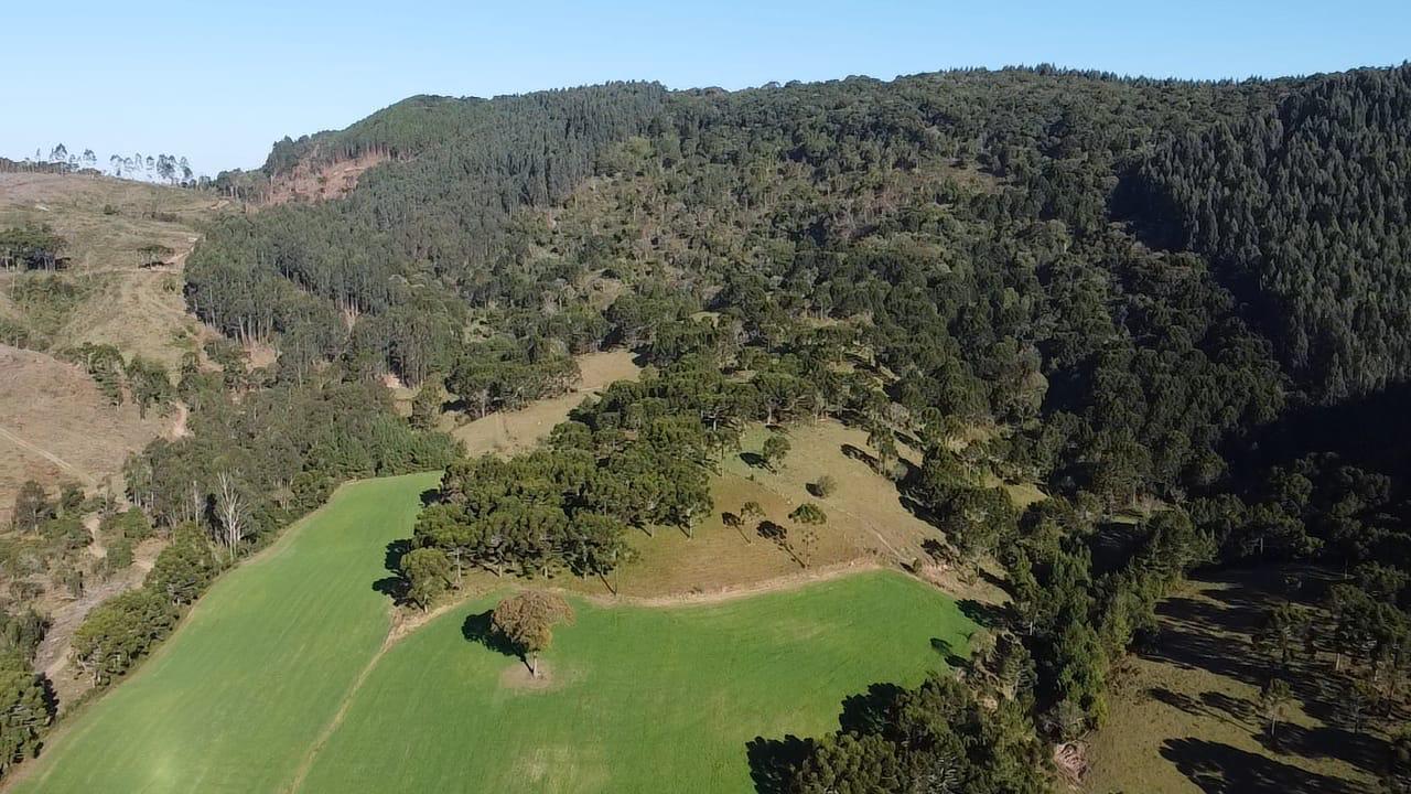 TERRENO PRODUTIVO EM PONTE ALTA |  54,9 HECTARES 