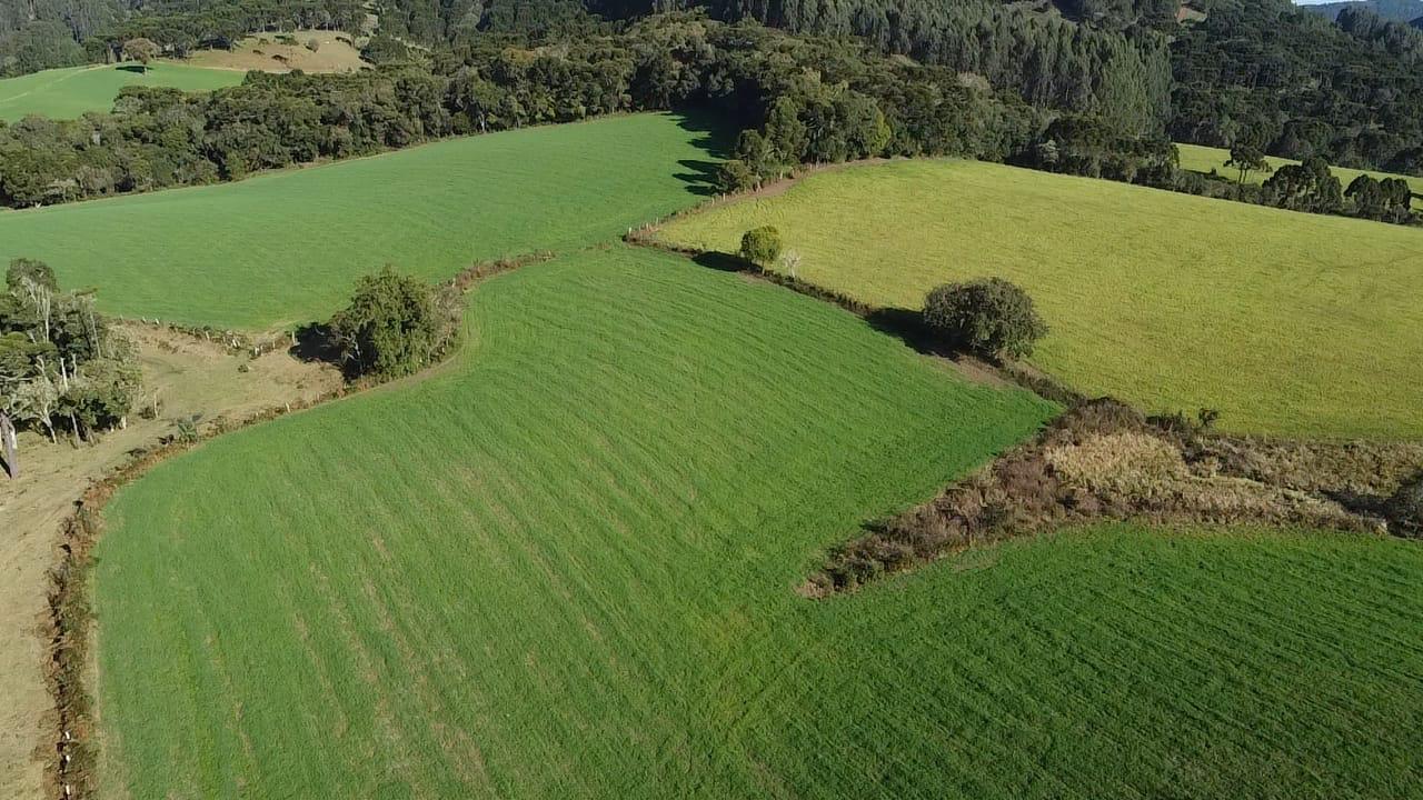 TERRENO PRODUTIVO EM PONTE ALTA |  54,9 HECTARES 